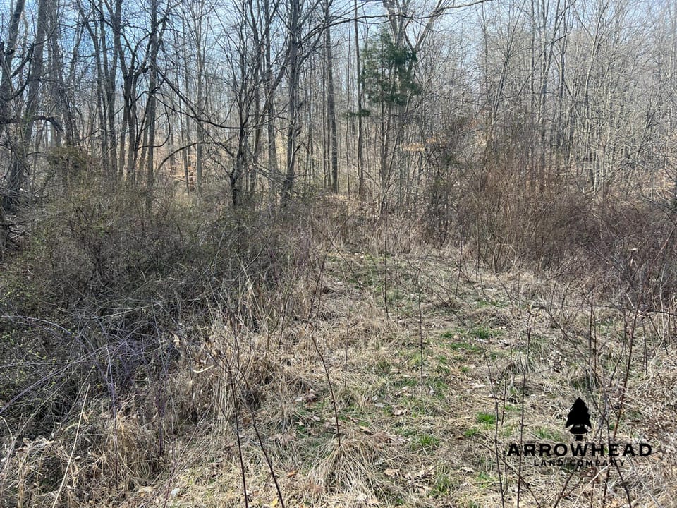 Hunting Property Near Muskingum River