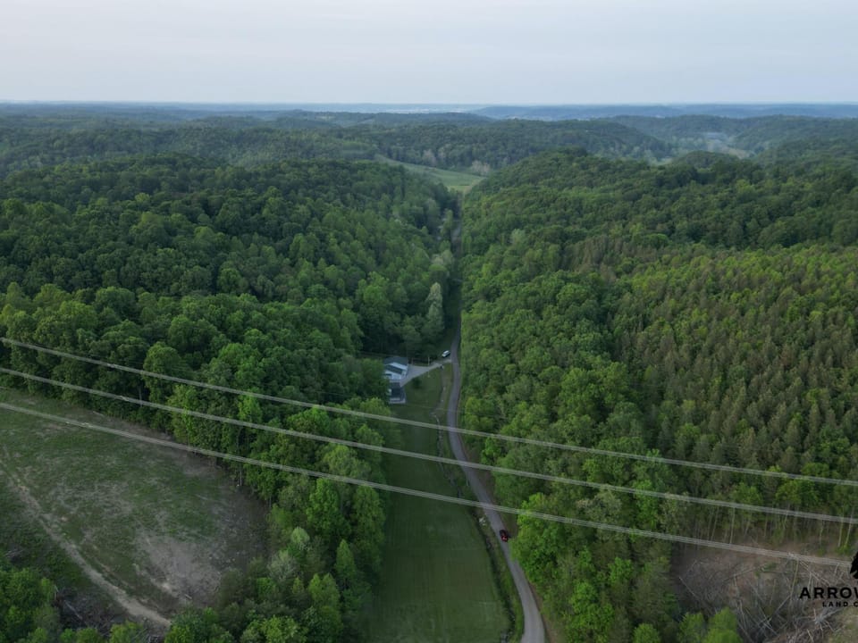 Pyle Hollow
