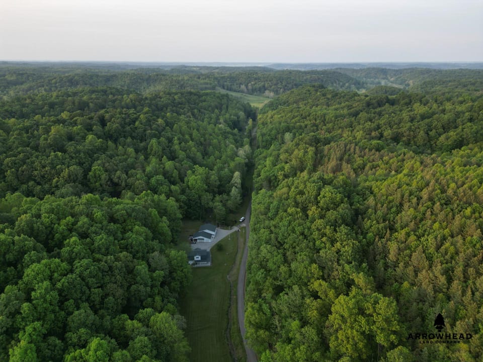 Pyle Hollow