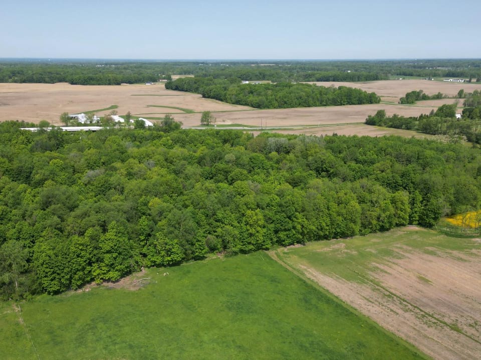 Wooded, Country-Living Build Site
