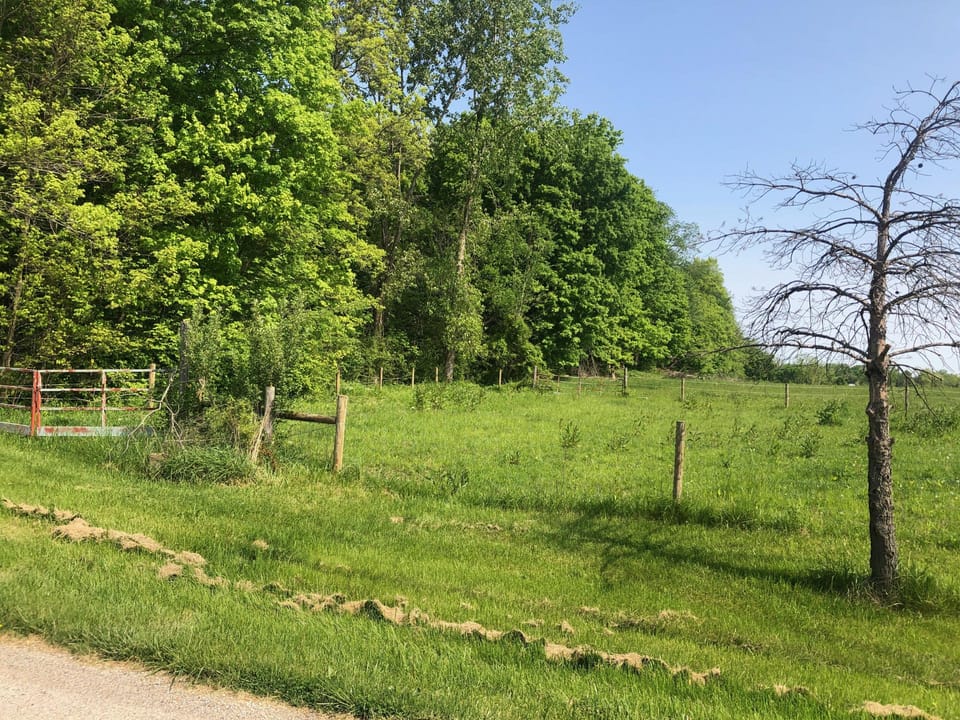 Wooded, Country-Living Build Site