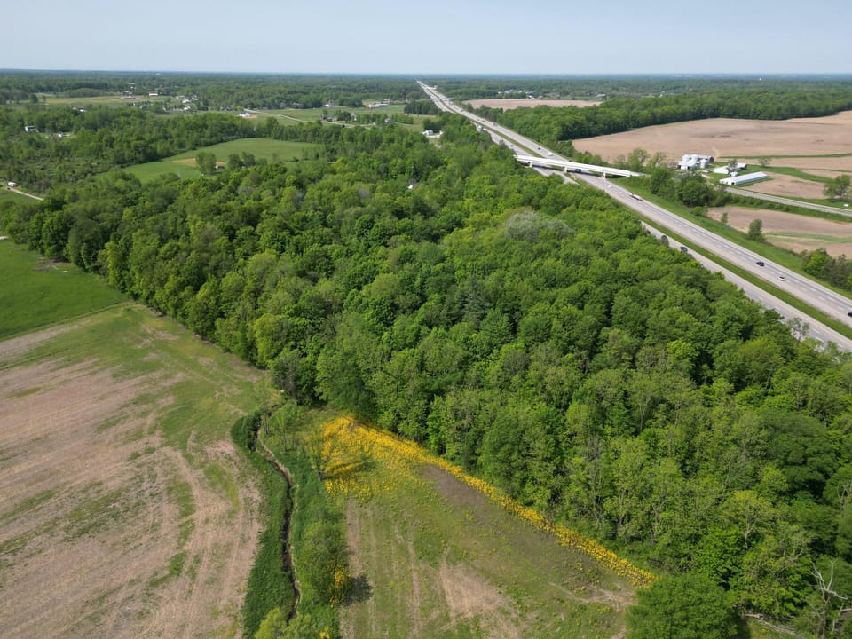 Wooded, Country-Living Build Site