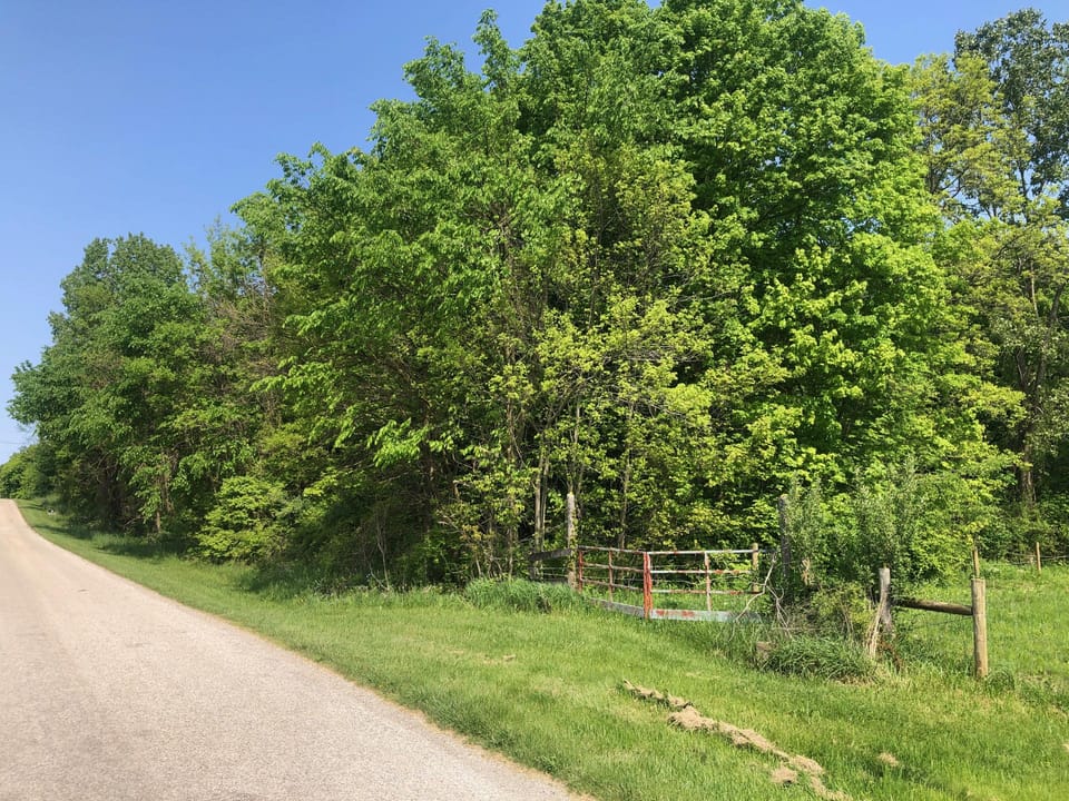Wooded, Country-Living Build Site