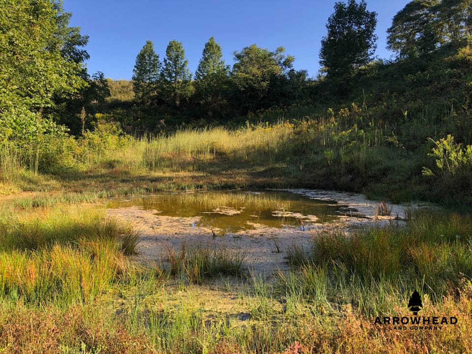 Buckeye Creek Ridge Farm