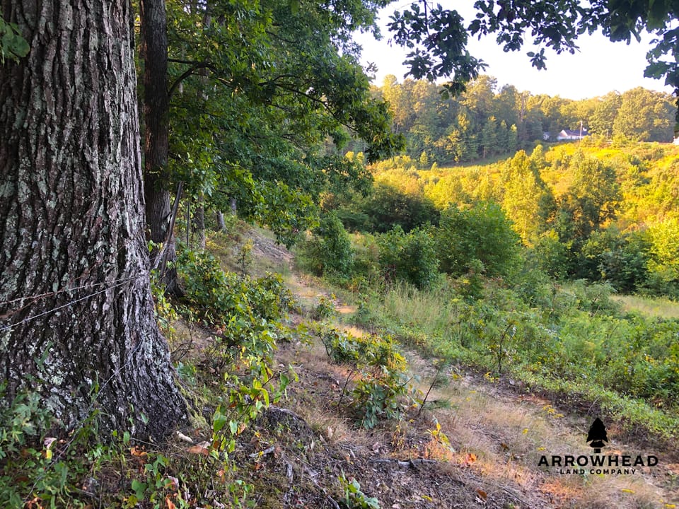 Buckeye Creek Ridge Farm