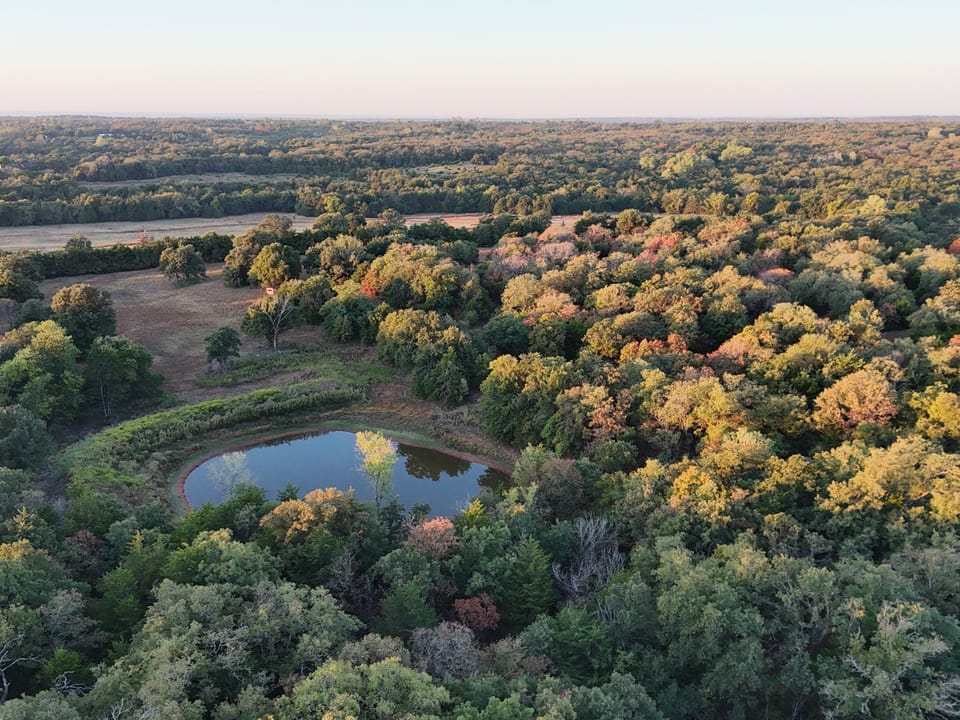 Dji Fly 20261008 074930 0070 1791489526687 Photo