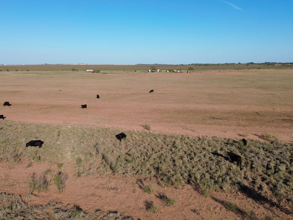 Dji 0235 Jpg
