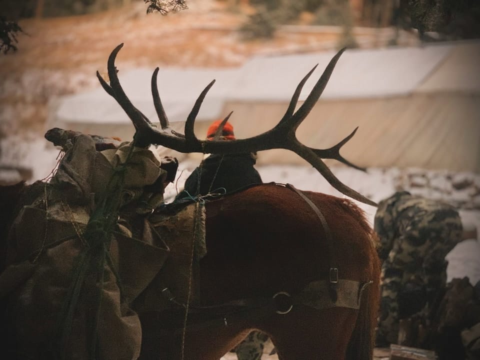 29