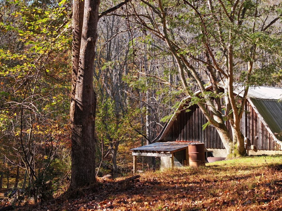 Hunting Cabin on 20 acres near New River for sale in Grayson County, VA - by Justin Rolfe, Mossy Oak Properties Land and Luxury