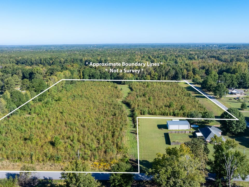 Cocklebur Road Drone 27