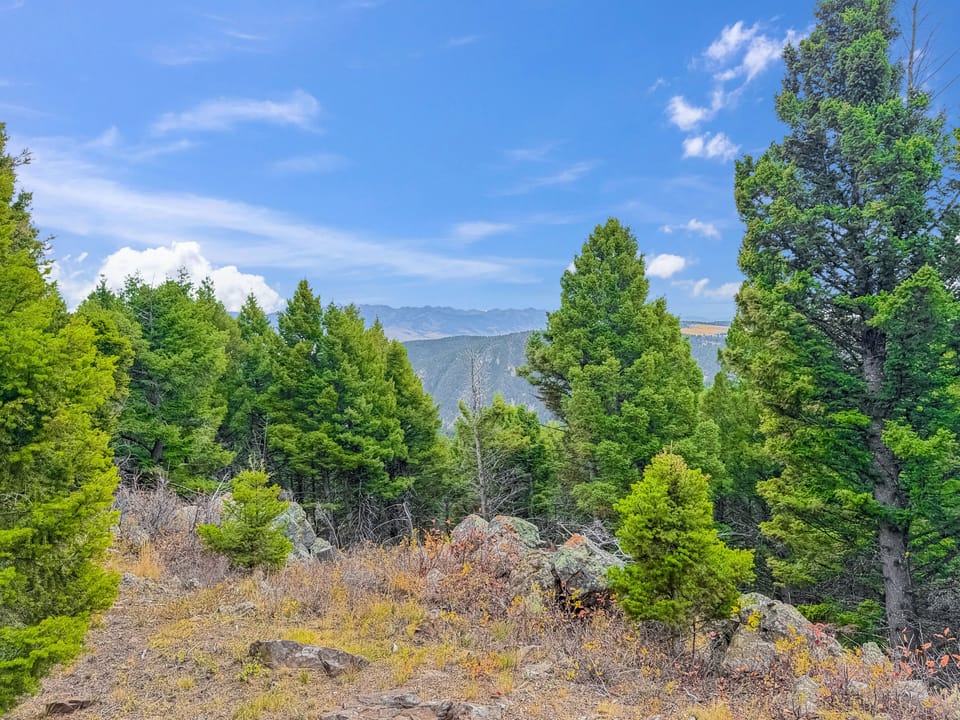 View Of Mountains