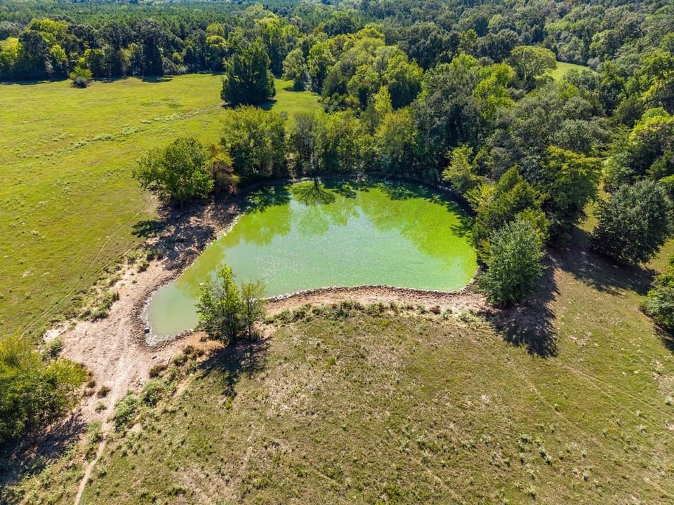Dji 20260909100529 0734 D