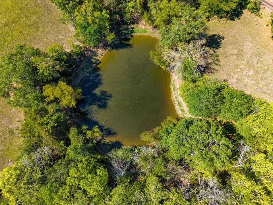 Dji 20260909101054 0739 D