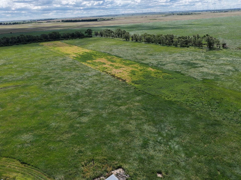 Dji Fly 20260617 111550 0093 1781807543939 Photo