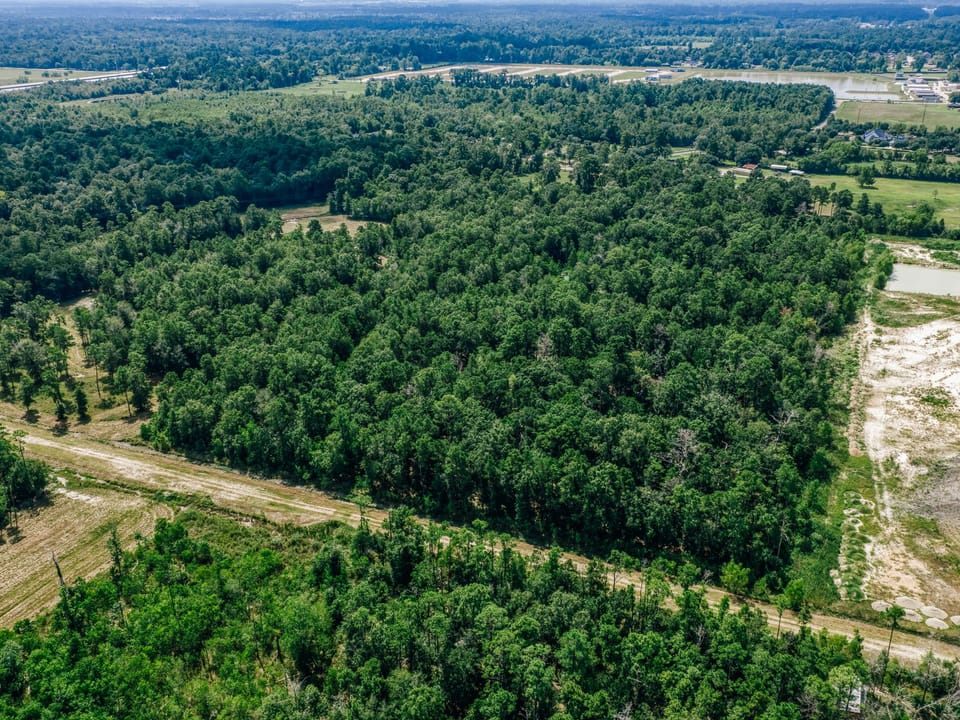 Whitley Fisher 5 Broadway Ave Conroe Dji 20260831114322 0208 D