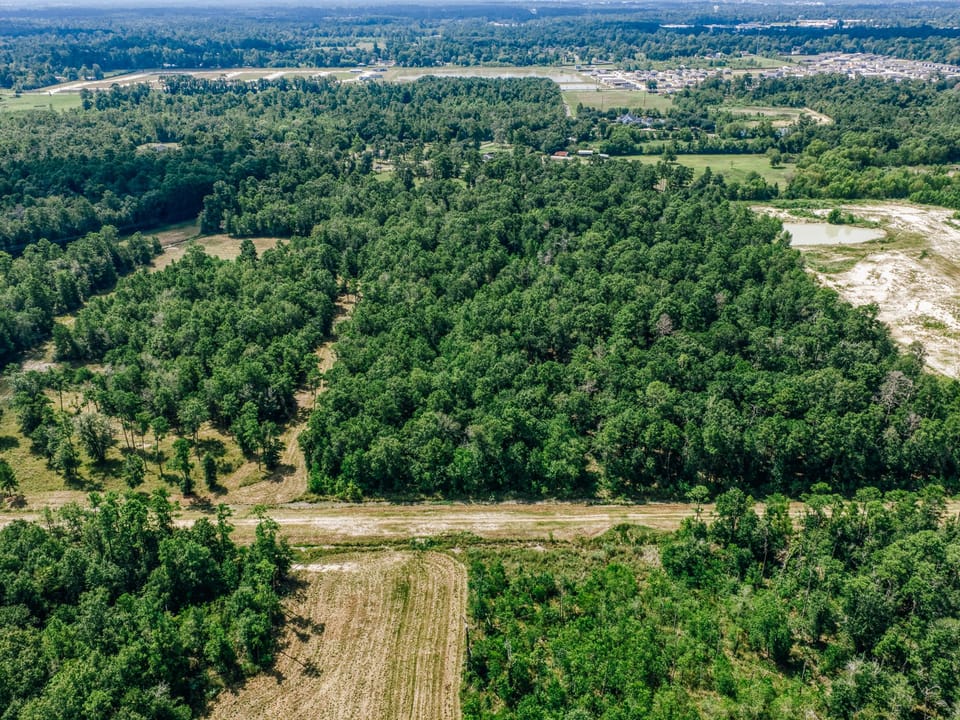 Whitley Fisher 5 Broadway Ave Conroe Dji 20260831114336 0213 D