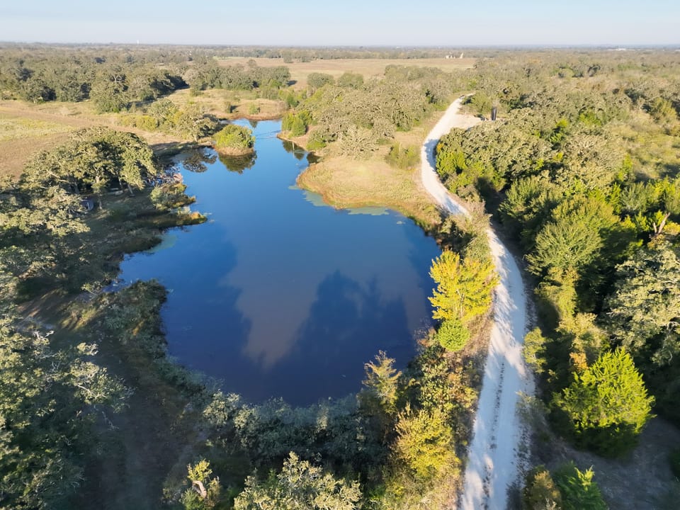 Dji 20261023084310 0002 V Jpg