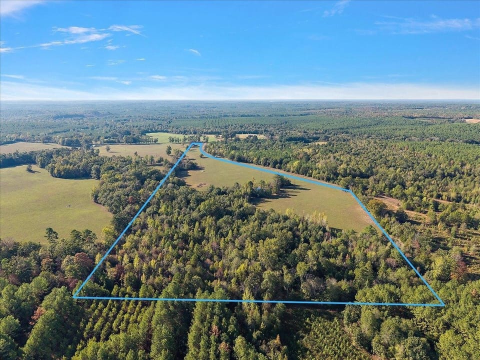 Aerial 1