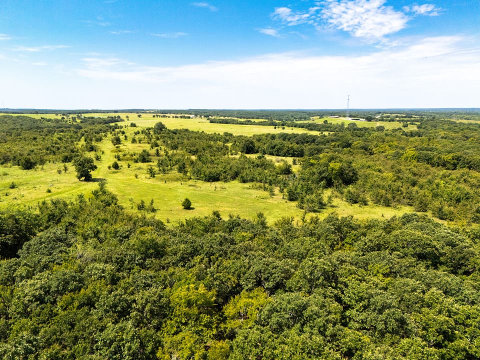 Dji 20250731114646 0252 D