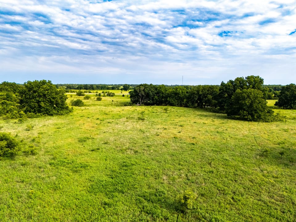 Dji 20250731093209 0196 D