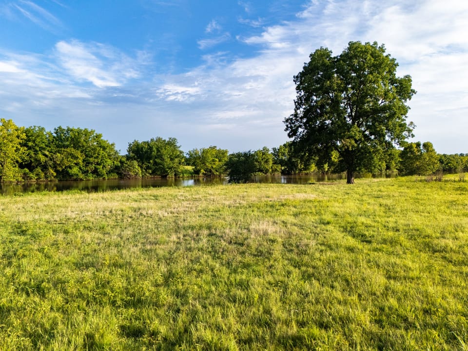 Dji 20250731080019 0128 D