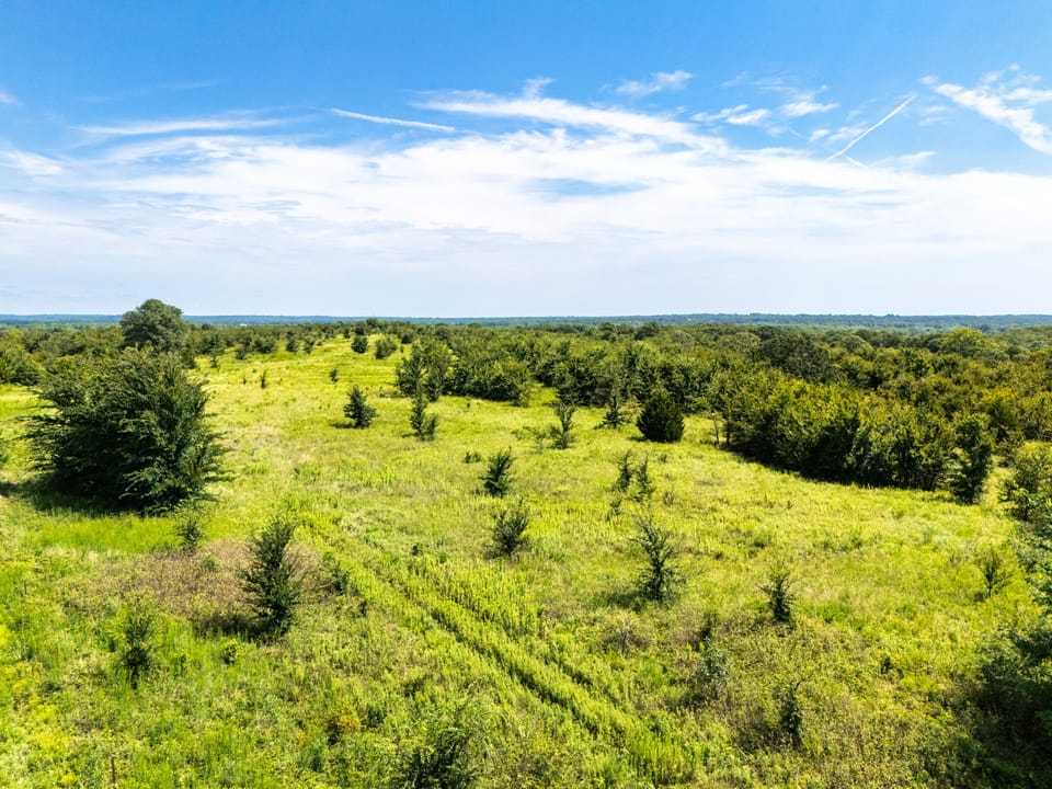 Dji 20250731114206 0245 D