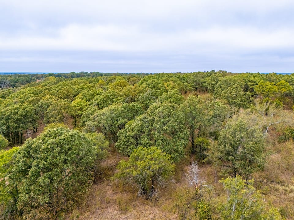 Affordable Hunting Farm