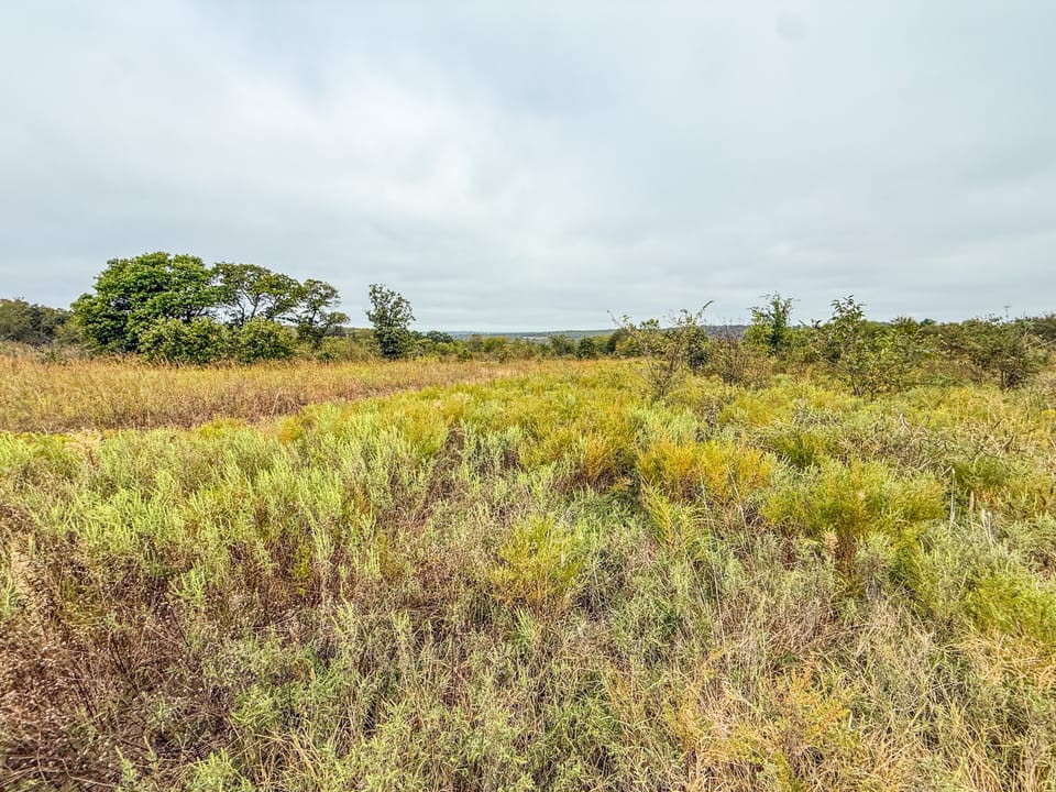 Affordable Hunting Farm