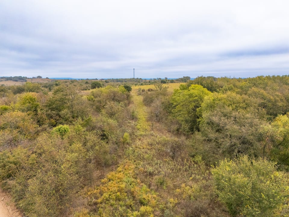 Affordable Hunting Farm
