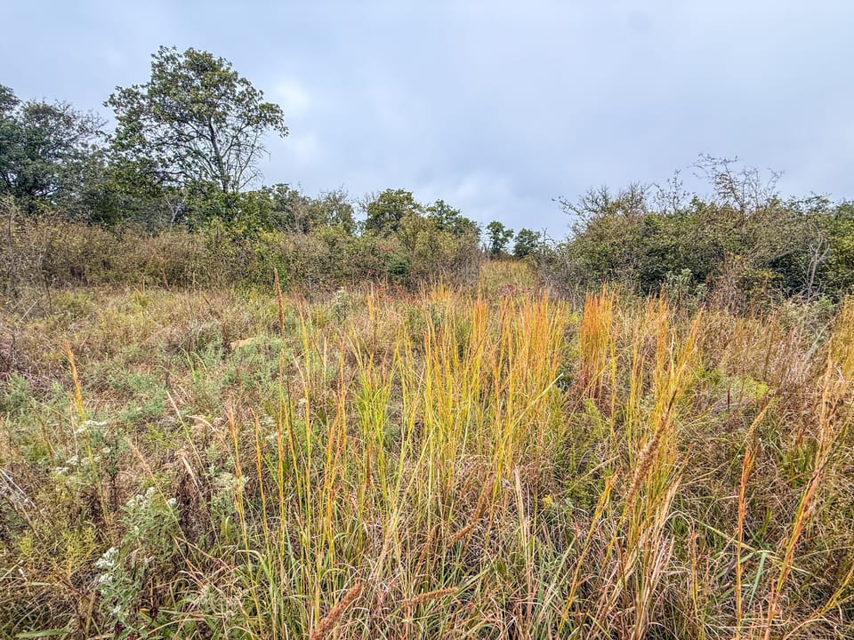 Affordable Hunting Farm