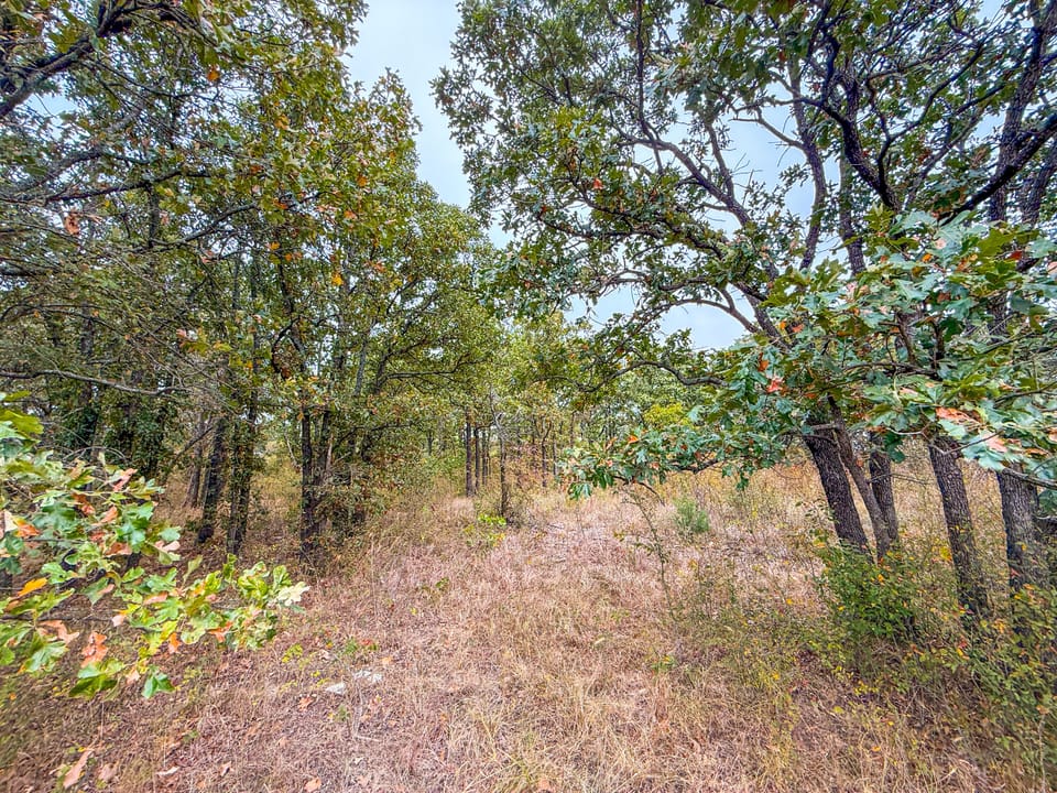 Affordable Hunting Farm