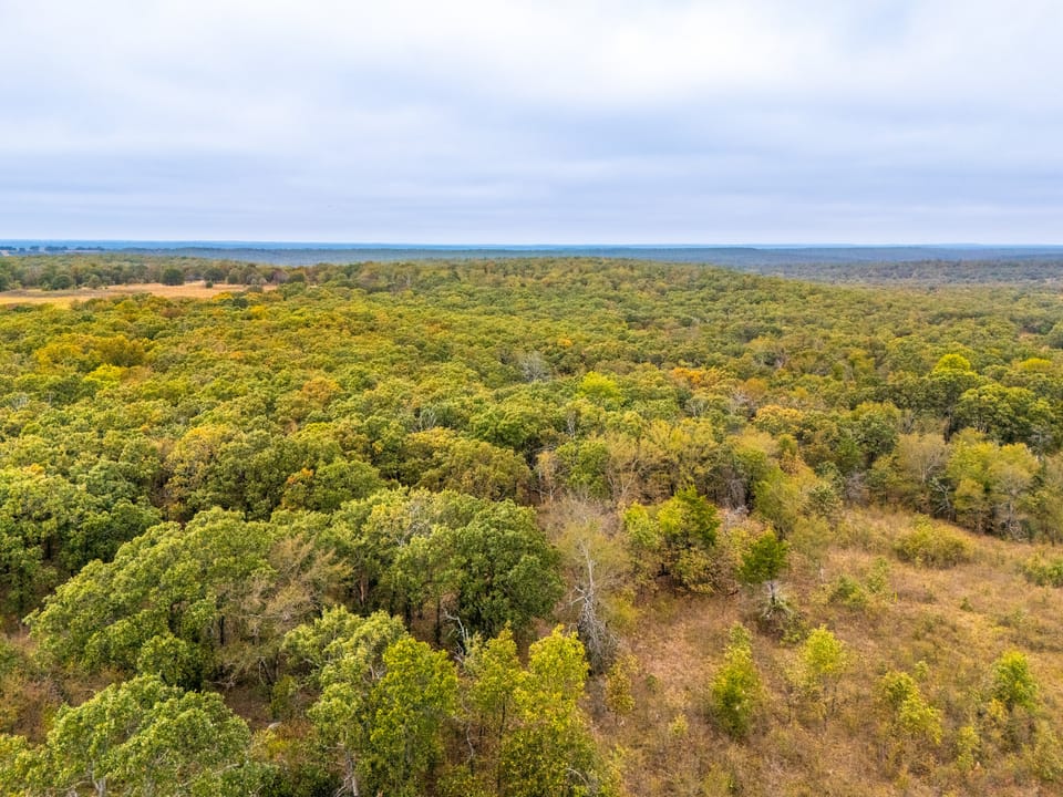 Affordable Hunting Farm