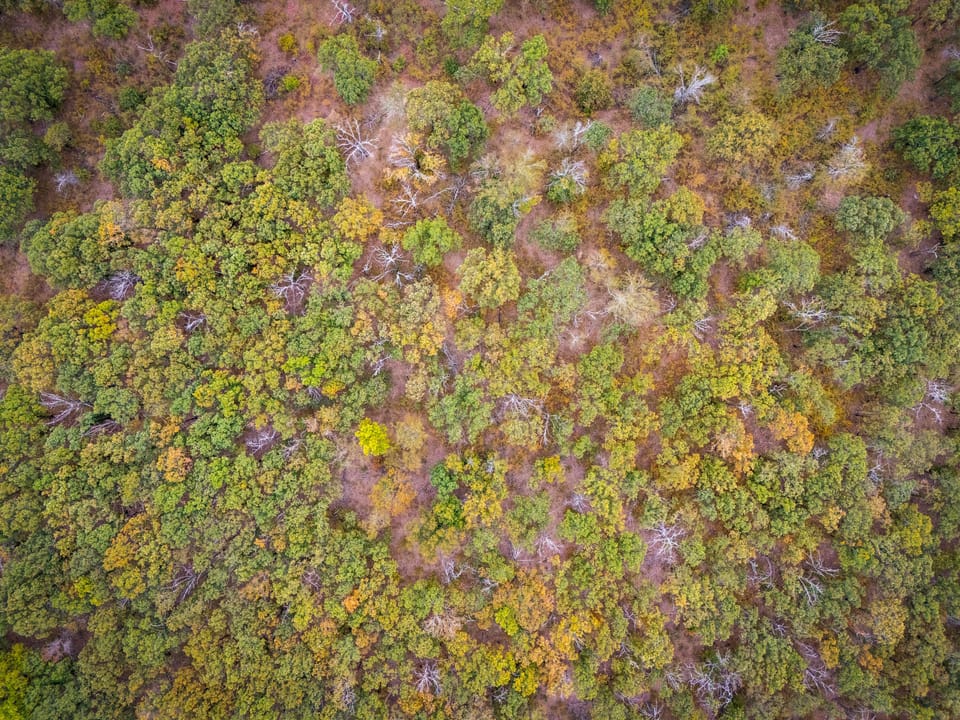 Affordable Hunting Farm