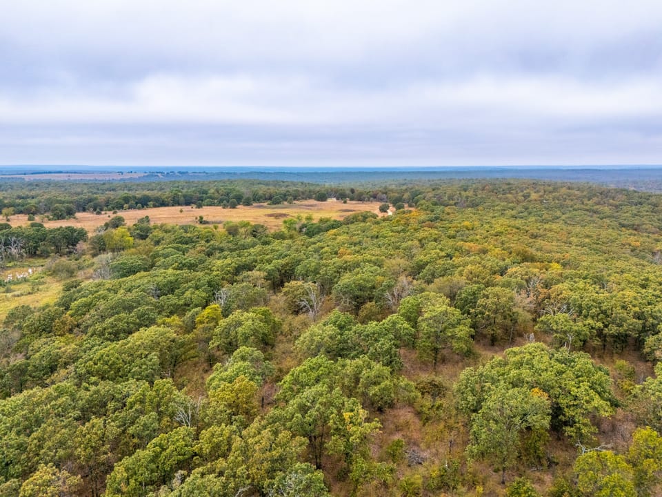 Affordable Hunting Farm