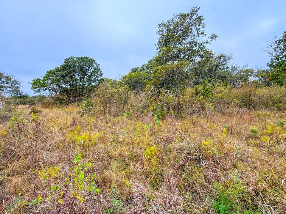 Affordable Hunting Farm