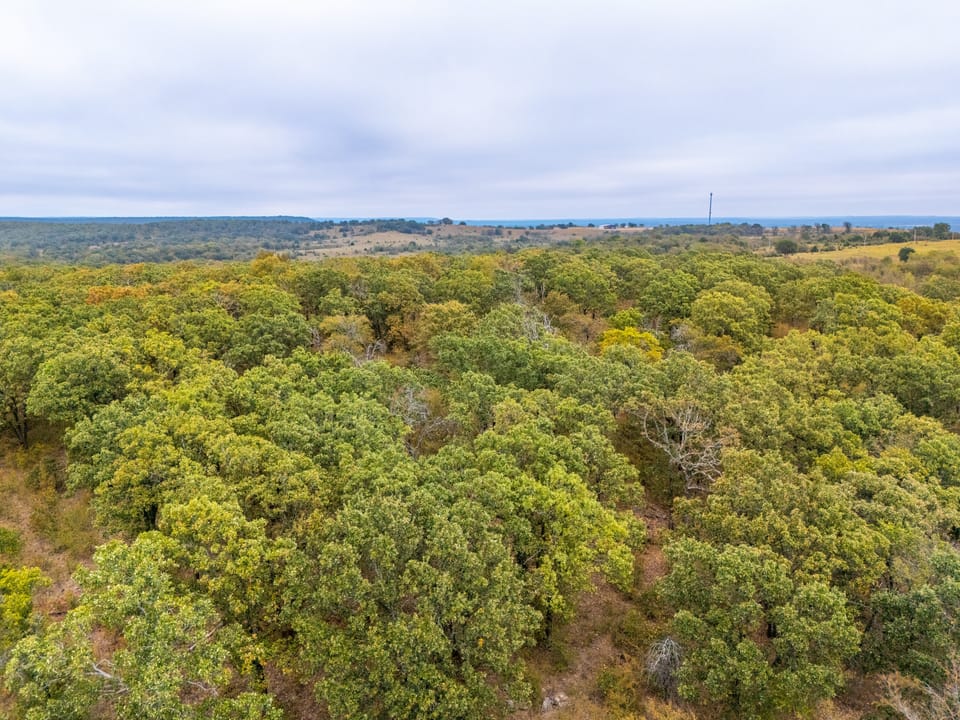 Affordable Hunting Farm