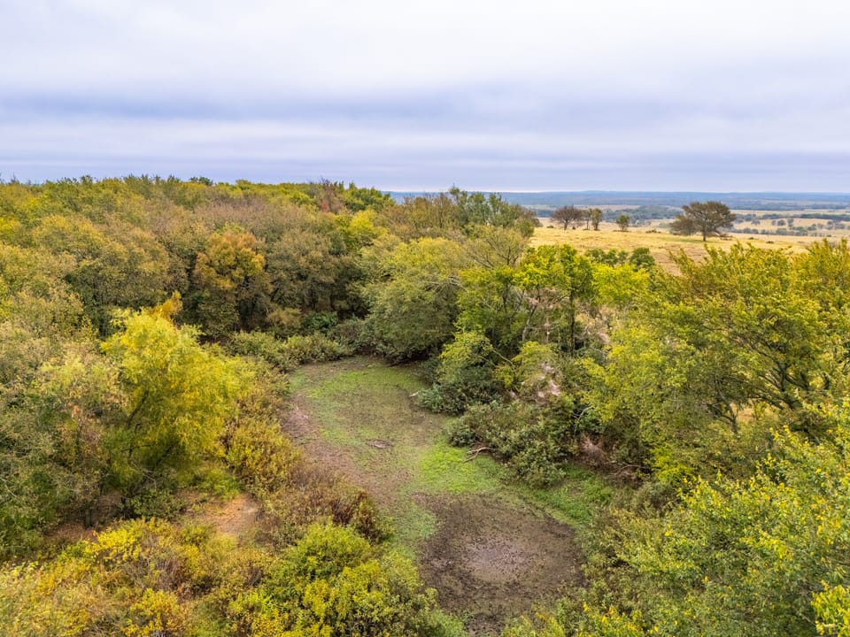 Affordable Hunting Farm