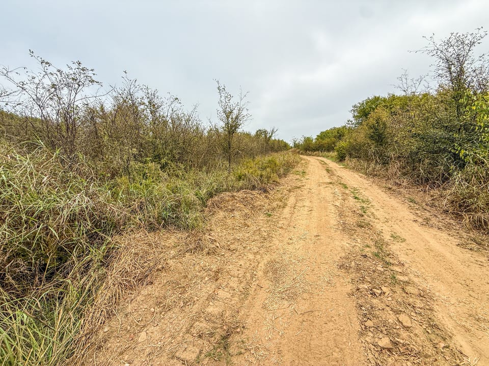 Affordable Hunting Farm