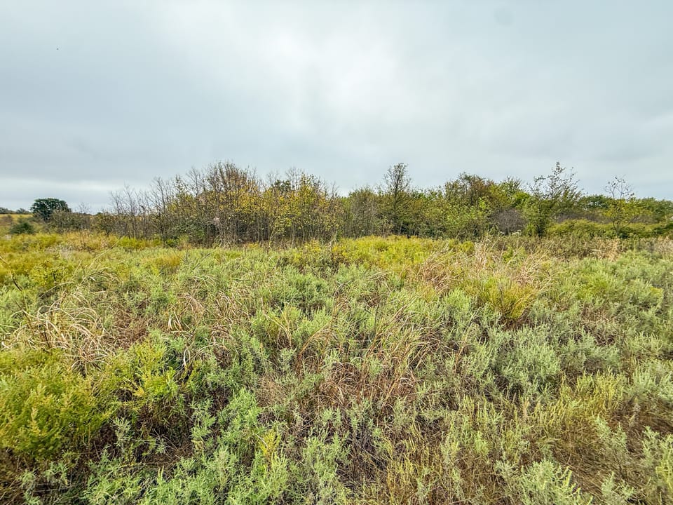 Affordable Hunting Farm