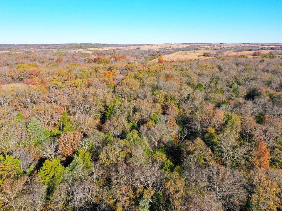Hellroaring Creek Farm