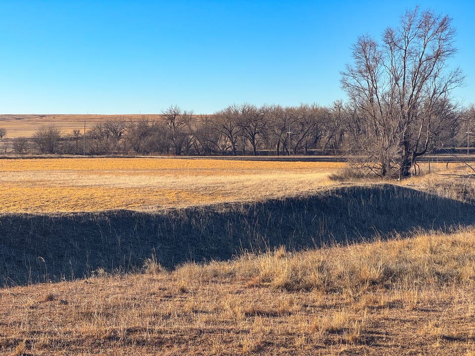 Holly Creek Farm