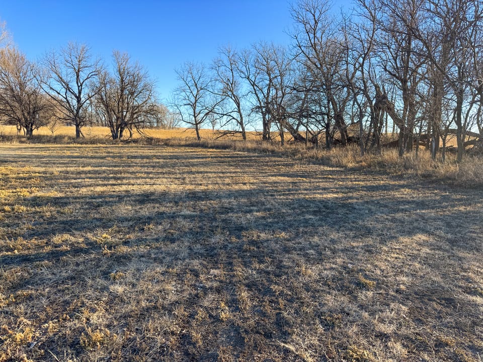 Holly Creek Farm
