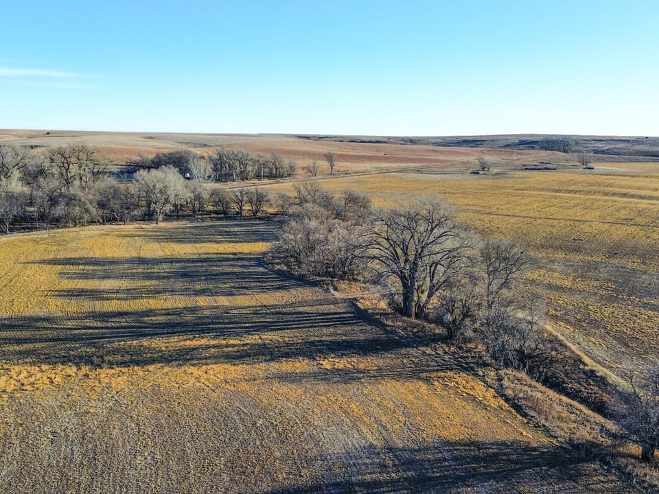 Holly Creek Farm