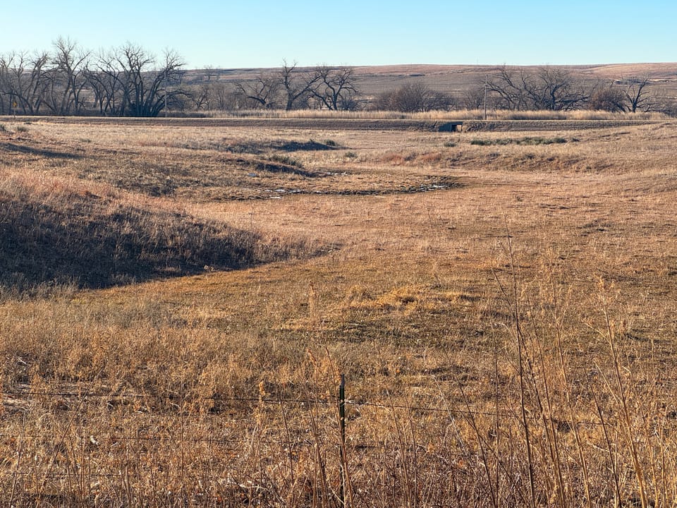 Holly Creek Farm