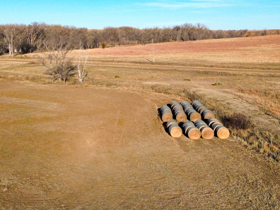 Holly Creek Farm