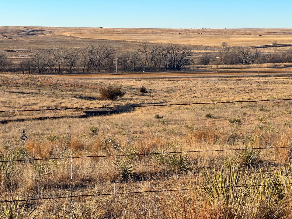 Holly Creek Farm