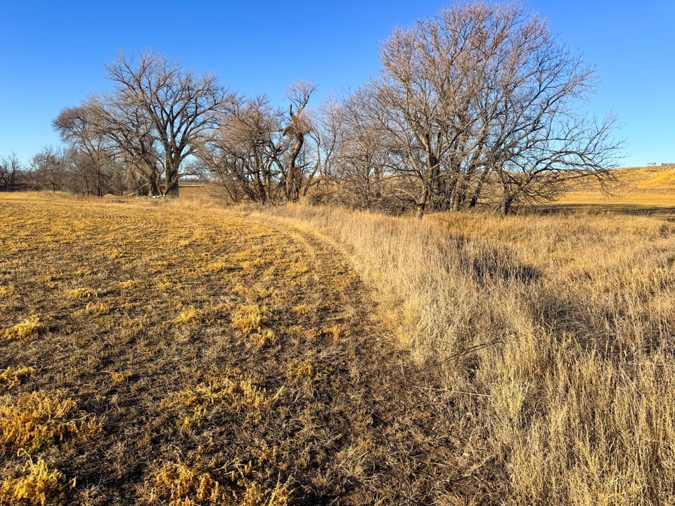 Holly Creek Farm