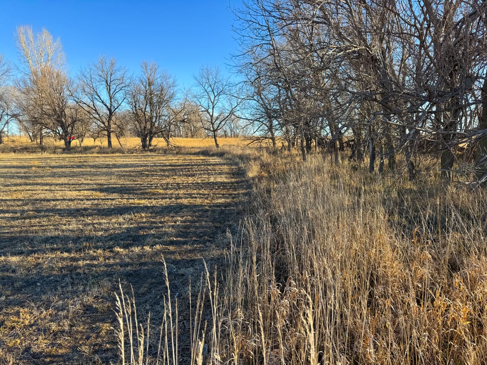 Holly Creek Farm
