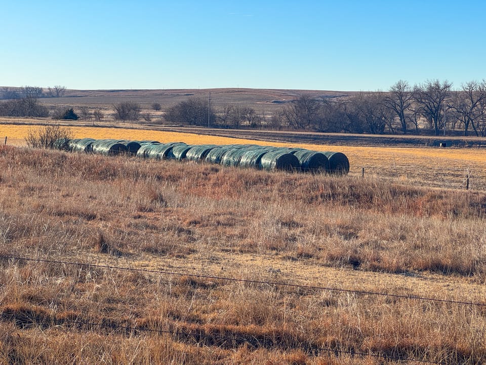 Holly Creek Farm