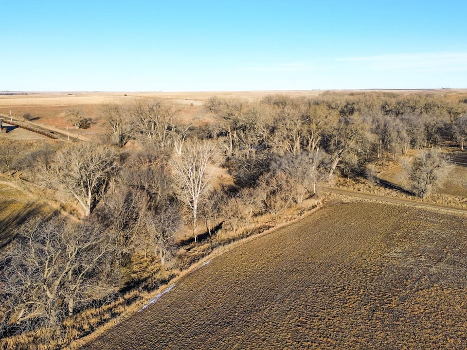 Holly Creek Farm